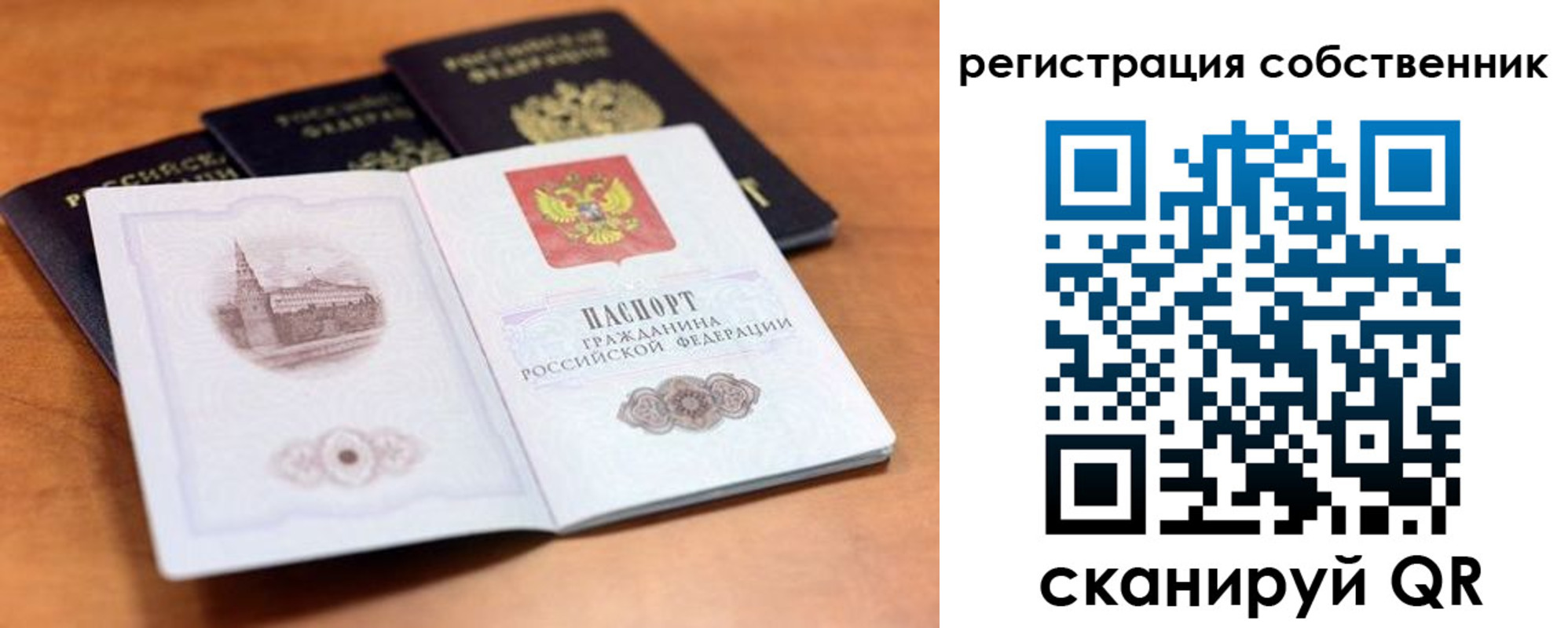 прописка поиск в Березниках